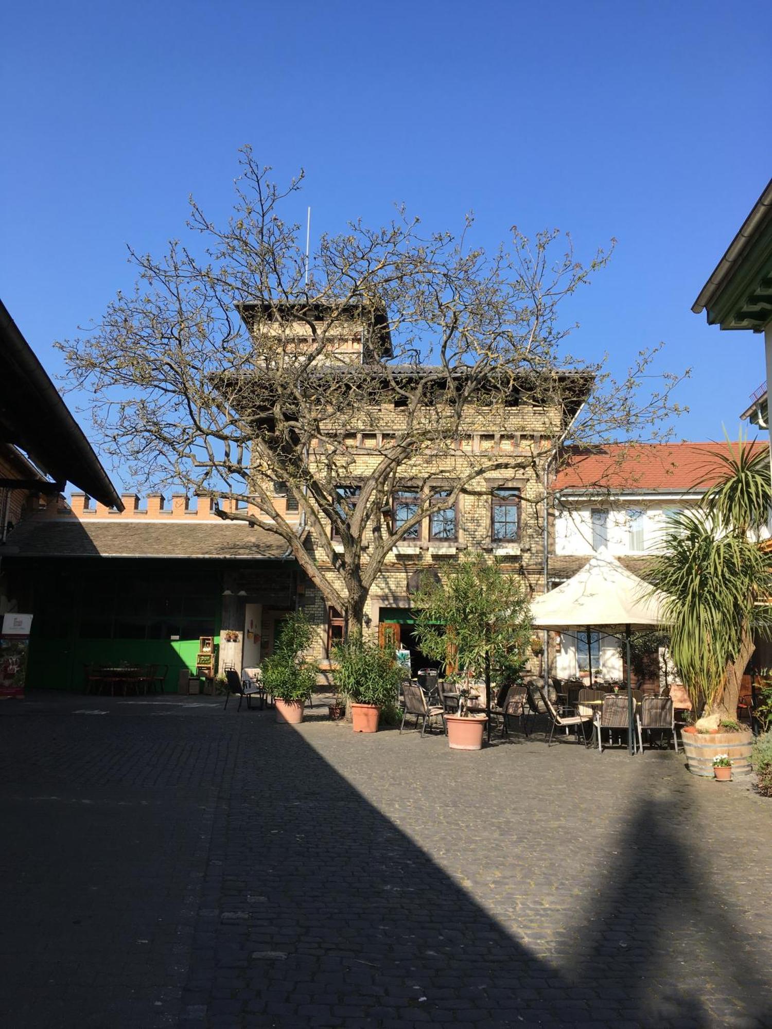 Gaestehaus Guntersblum Kültér fotó