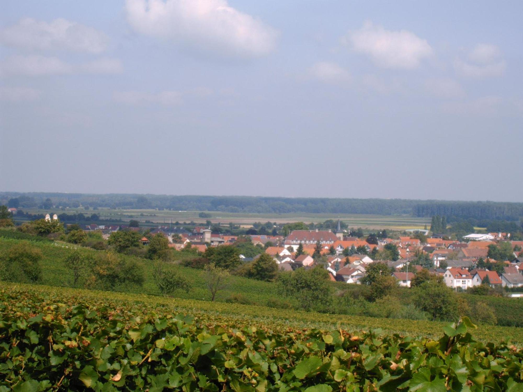 Gaestehaus Guntersblum Kültér fotó
